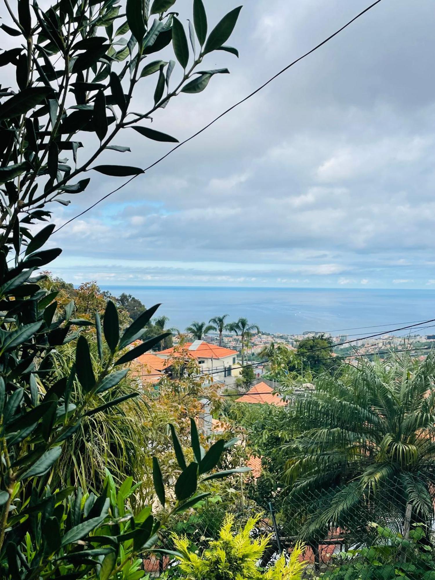Cozy House Hotel Funchal  Exterior photo