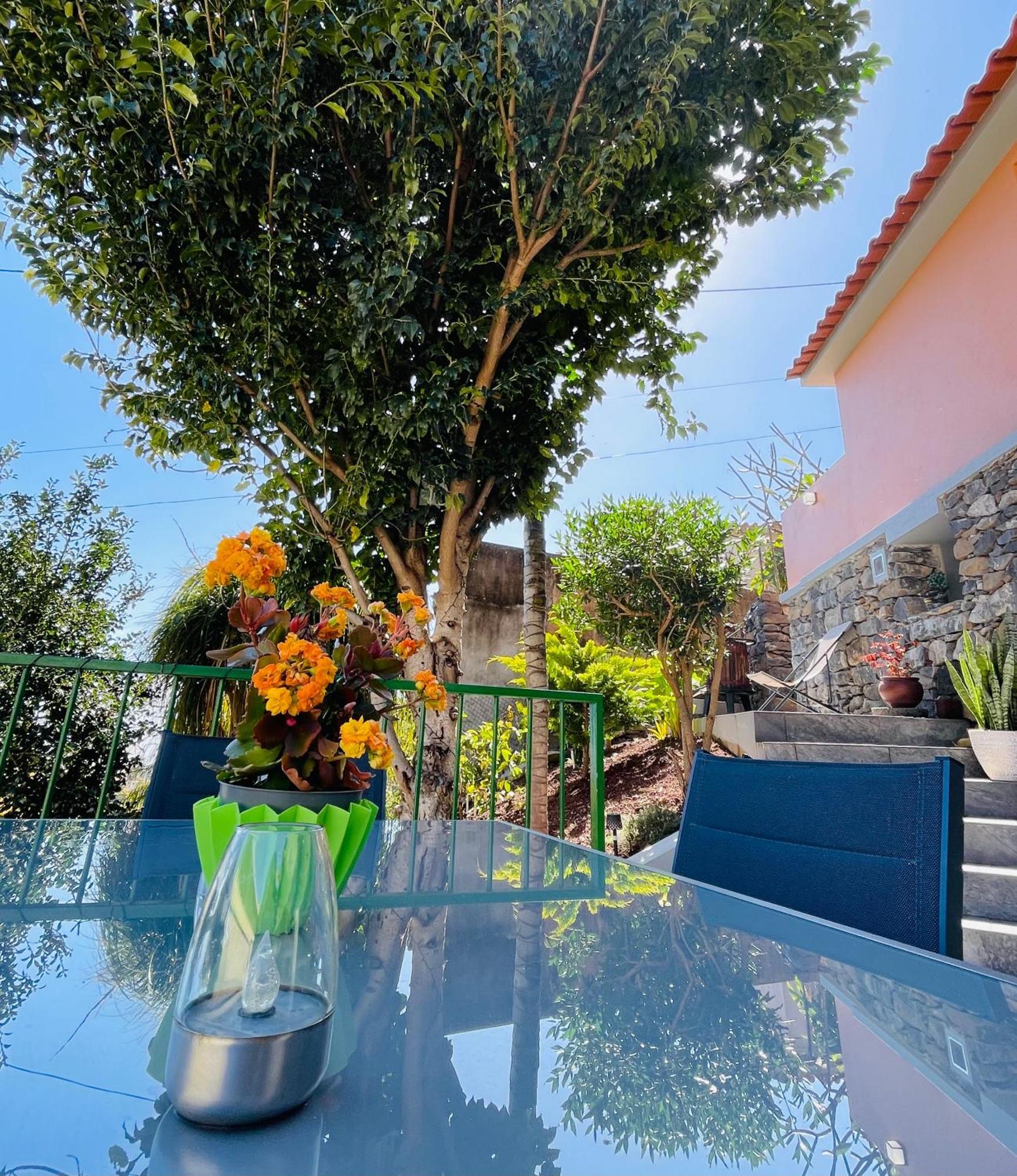 Cozy House Hotel Funchal  Exterior photo